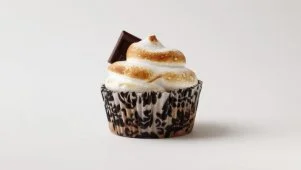 S'mores Cupcakes