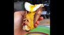 I Ate Like a Fitness Blogger