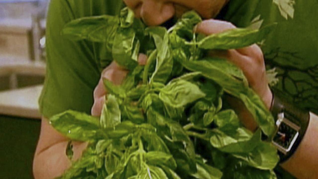 Storing Fresh Herbs