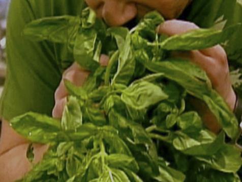 Storing Fresh Herbs
