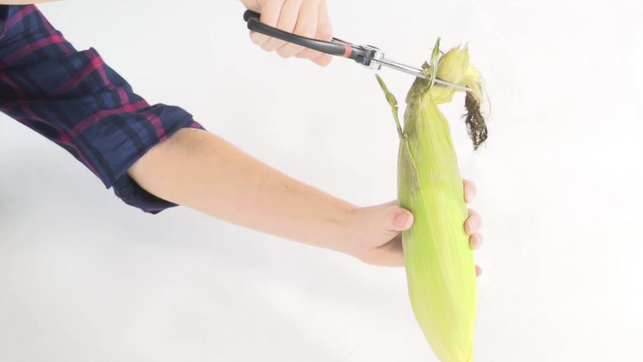 Corn: A Crop of Cool Facts