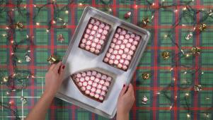 Peppermint Candy House