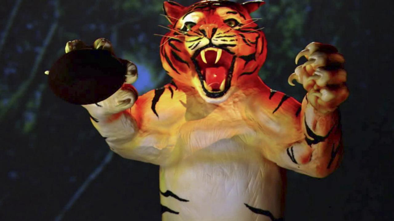 Tiger Cake