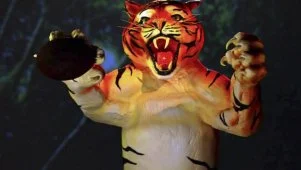 Tiger Cake