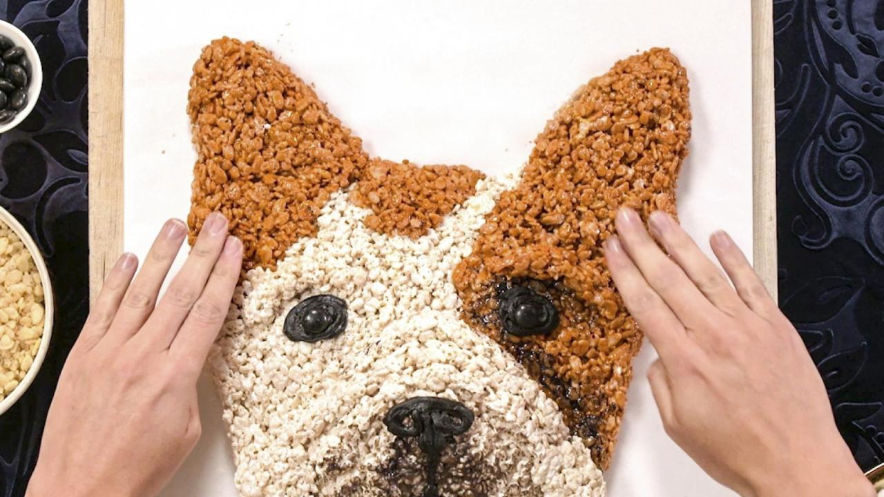 Adorable Dog Portraits
