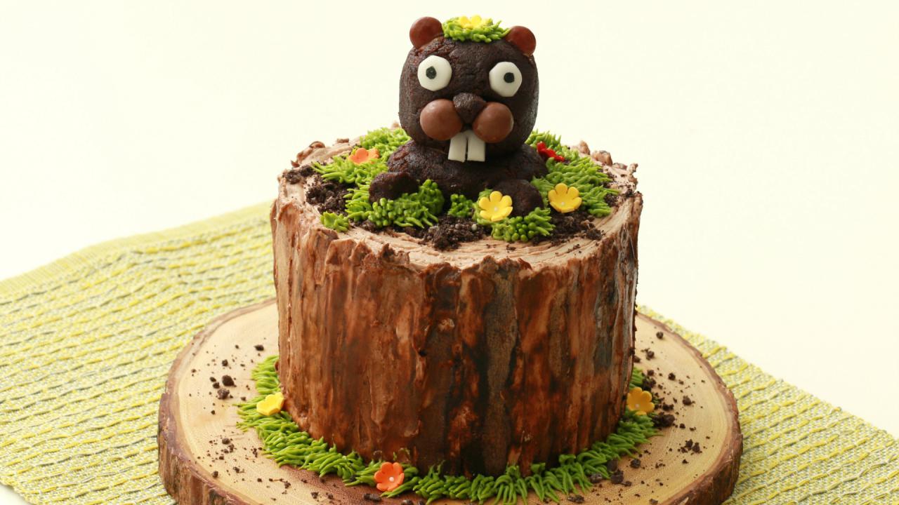 Groundhog Day Cake