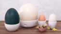 Egg Knowledge