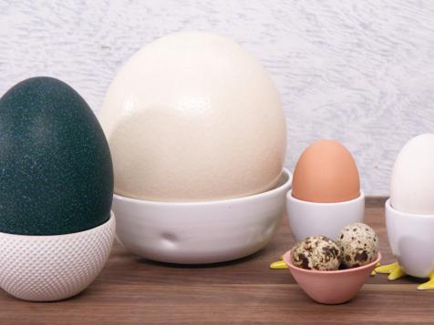 Egg Knowledge