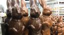 Giant Chocolate Bunnies
