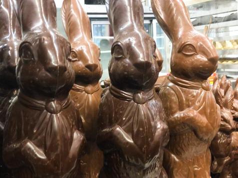 Giant Chocolate Bunnies