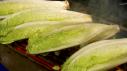 Grilled Caesar Salad
