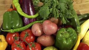 Diabetes Overview
