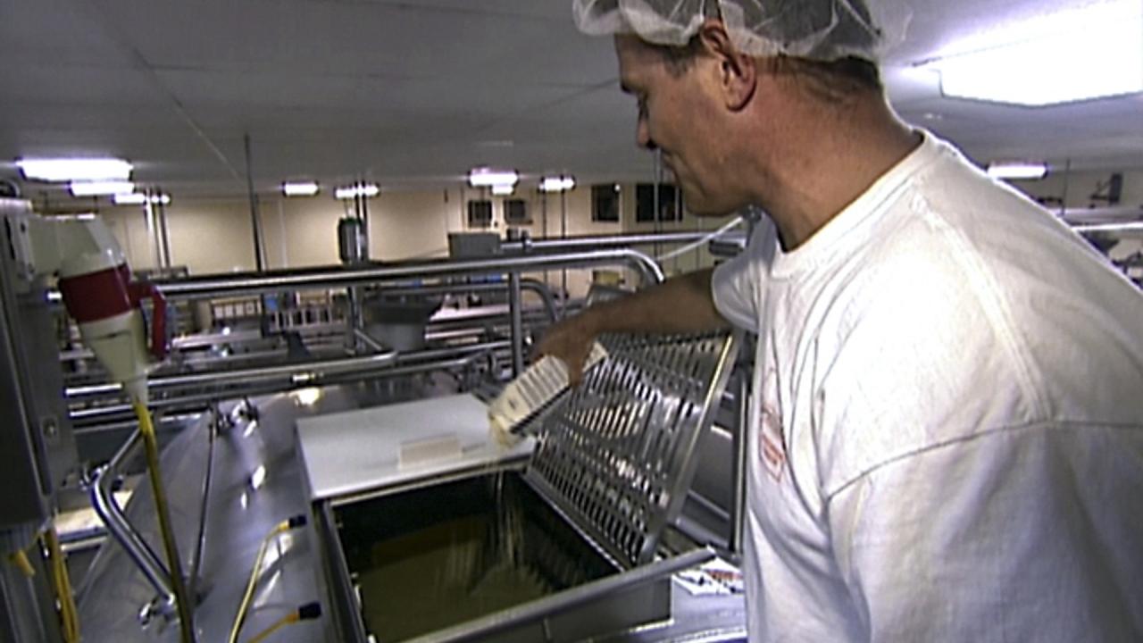 Sunny Anderson Learns How String Cheese Is Made