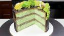 Succulent Cake