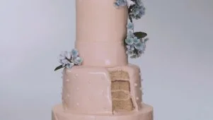 Old, New, Borrowed and Blue Cake