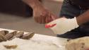 Damariscotta River Oysters