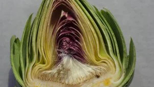 Now You Know: Artichokes