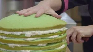 Jelly Fish Cakes