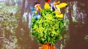 Exotic Bird Cake