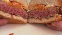 Buffalo Burger