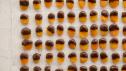 Chocolate Apricots