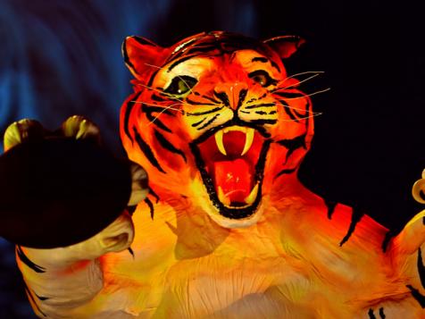 Ferocious Tiger Cake
