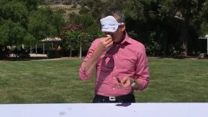 Randy's Cupcake Taste Test