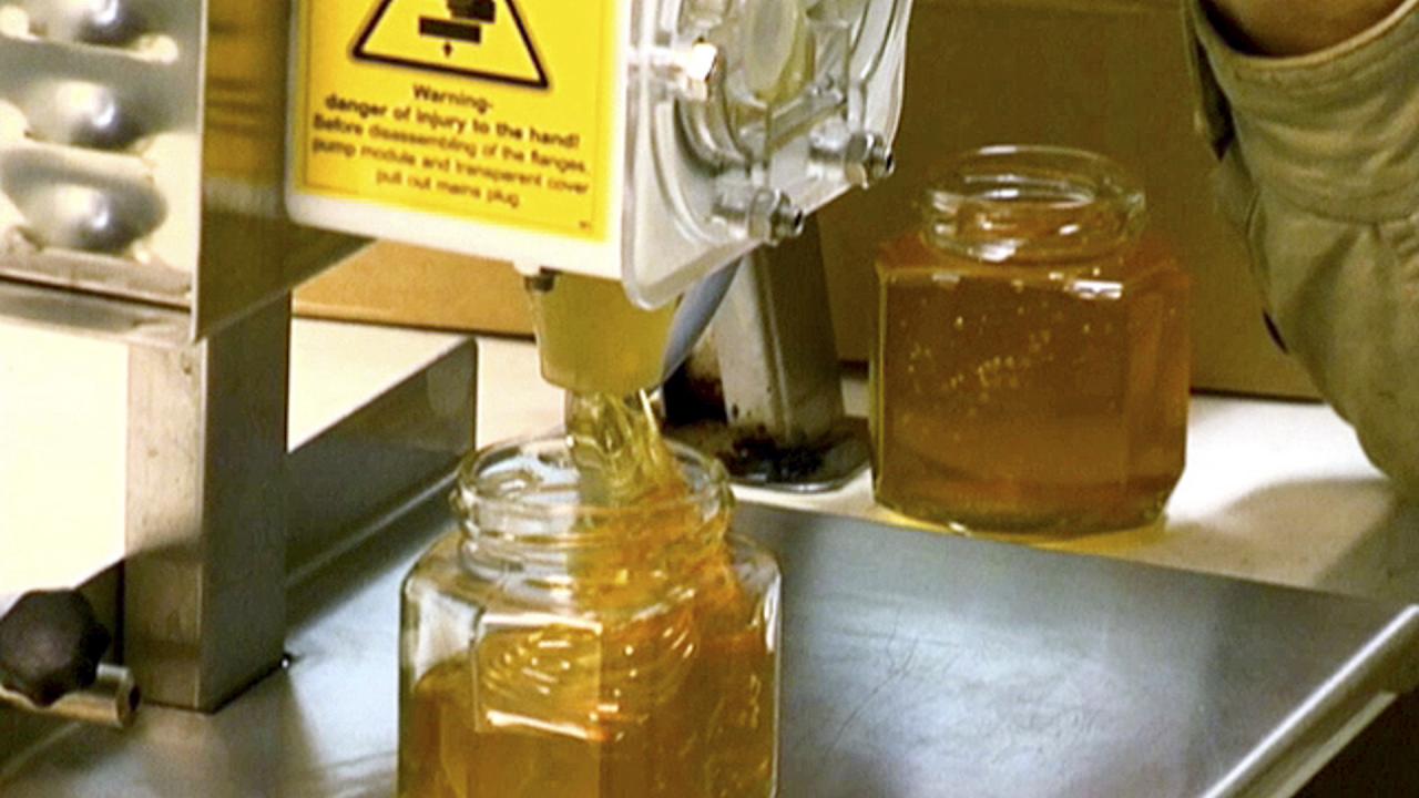 Harvesting Honey