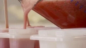 Watermelon Vodka Pops