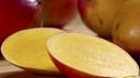 Why We Love Mangoes