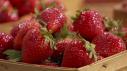 Why We Love Strawberries