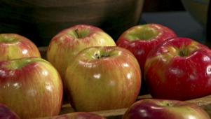 Why We Love Apples