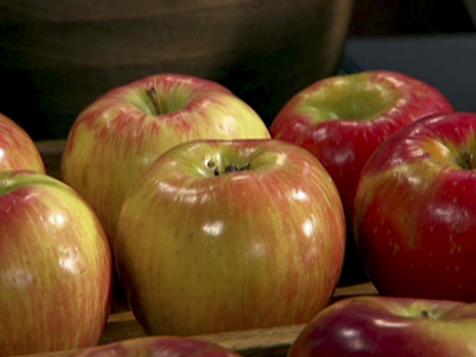 Why We Love Apples
