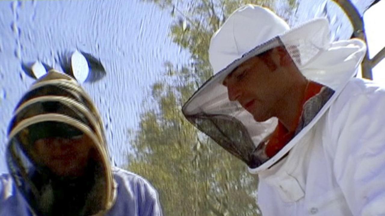 Beekeeper