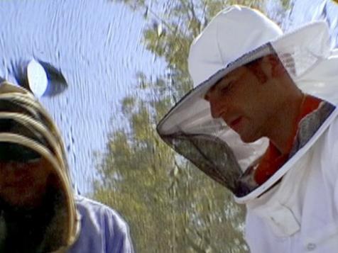 Beekeeper