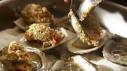 Oysters Casino