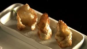 Gummy Bear and Kiwi Wontons