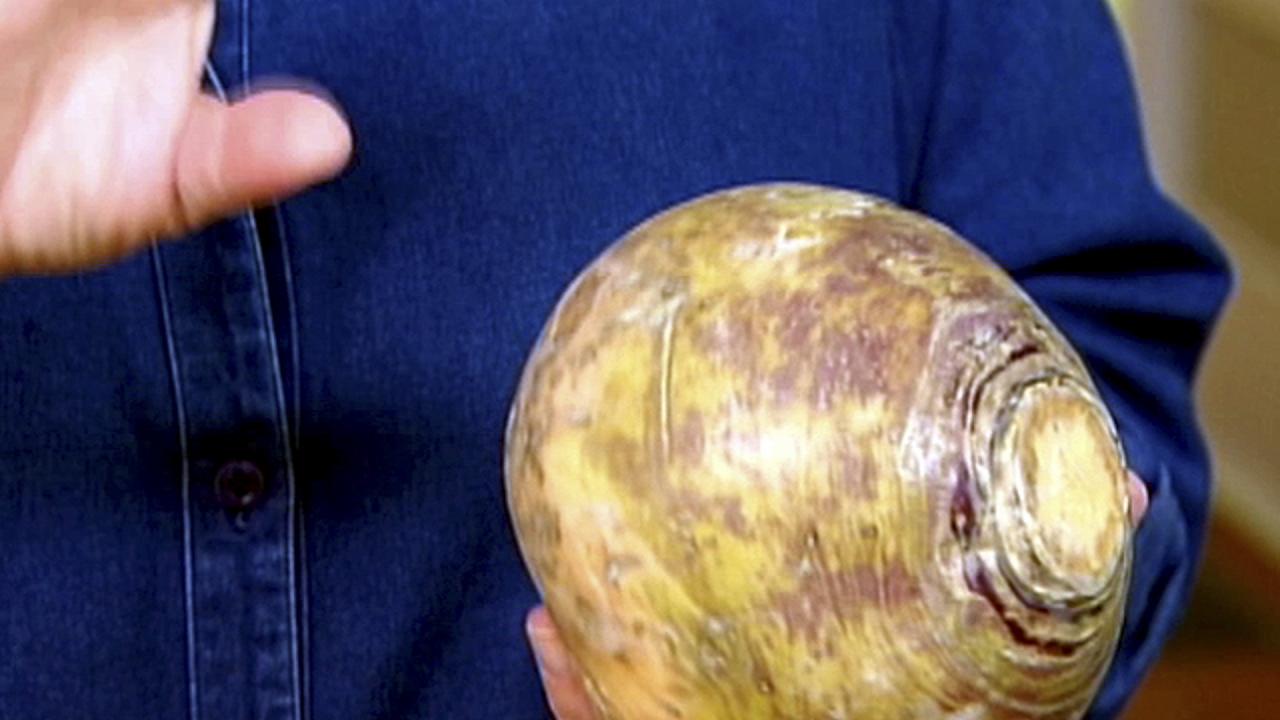 Mashed Turnips