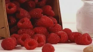 Limoncello Raspberry Torte