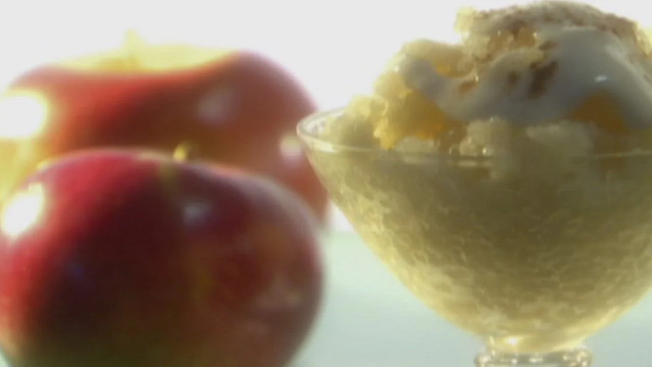 Applesauce Granita