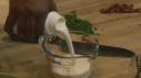 Buttermilk Mashed Potatoes