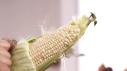 Grandma Moore's Creamed Corn