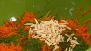 Neelys Carrot Slaw