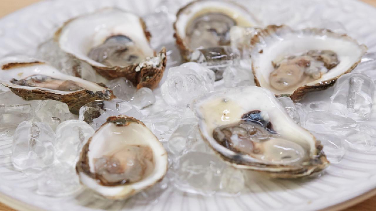 How to Shuck an Oyster