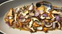 Wild Mushroom Cartoccio