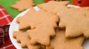 Spicy Gingerbread Cookies