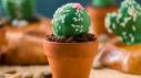 Brownie Cactus Cupcakes