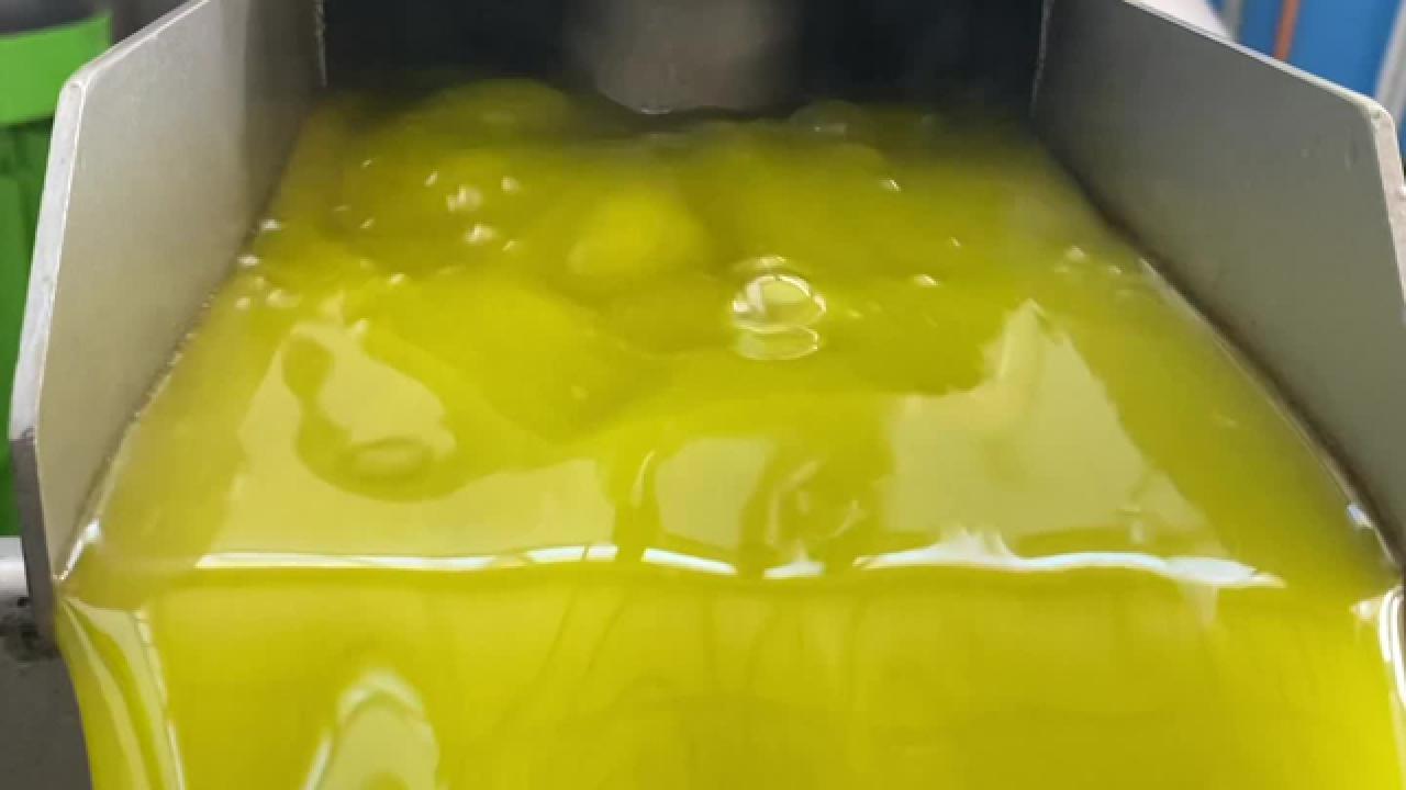 How Extra Virgin Olive Oil is Made