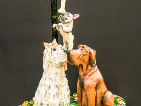Buddy's Dog Cake