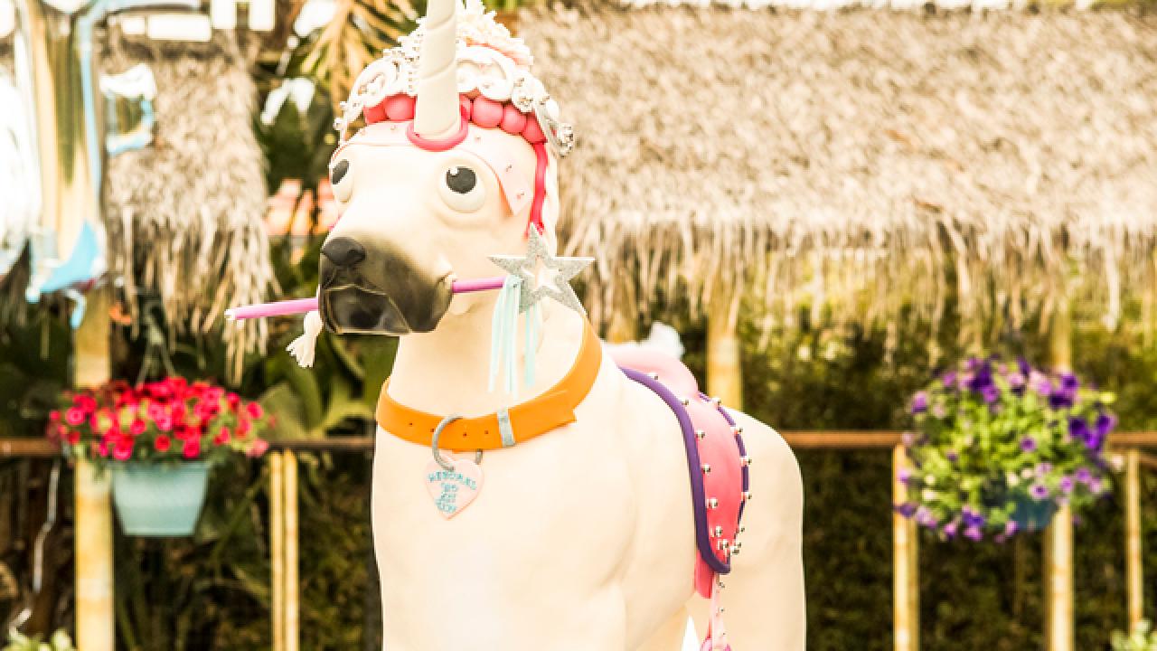 Duff's Unicorn Dog Cake